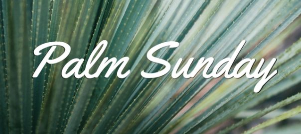 Palm Sunday “If the Price is Right . . .”
